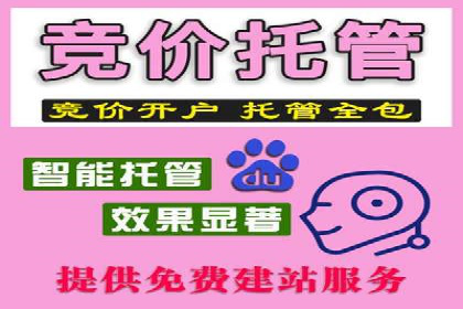 托管SEM竞价服务提供商的选择与评估标准